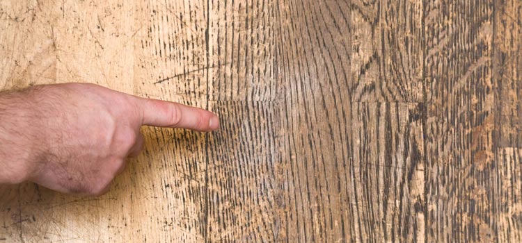 Wood Door Scratch Repair in Sarasota